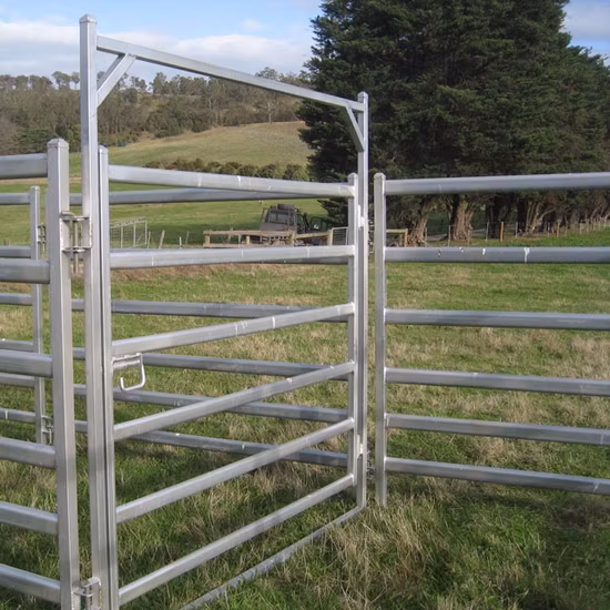 Farm Animals Cattle Equipments for Sale