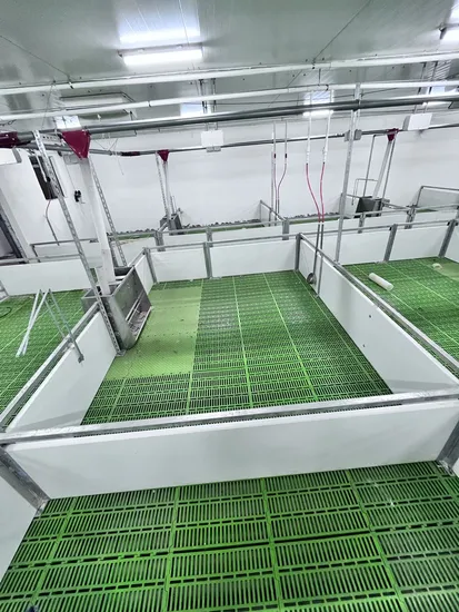 豚/ヤギ/牛用プラスチック糞板/すのこ床